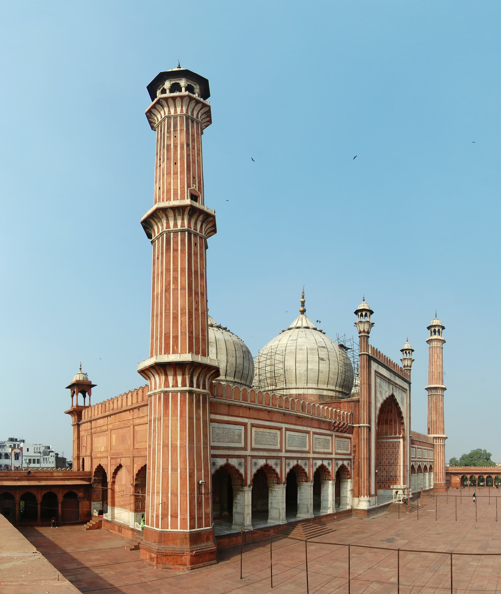 Delhi city skyline