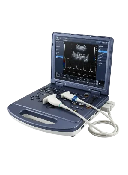 3D/4D Color Doppler Ultrasound Machine with Convex & Linear Probes