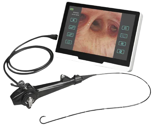 Video Bronchoscope