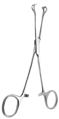 Babock Clamps